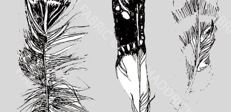 Feather tonal drop out drawing