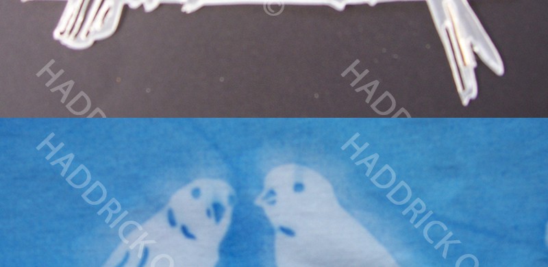 Sten-fab pair birds on perch