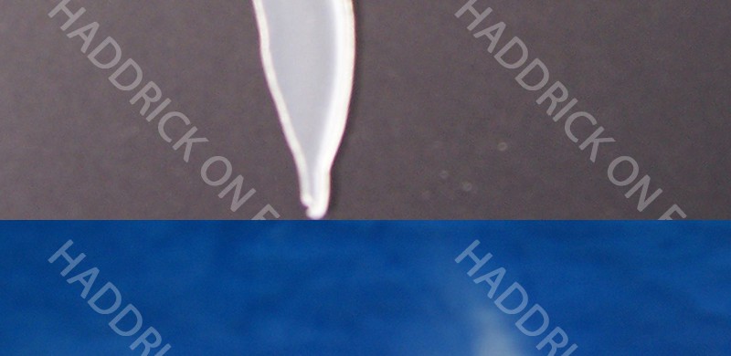 Sten-fab single bird