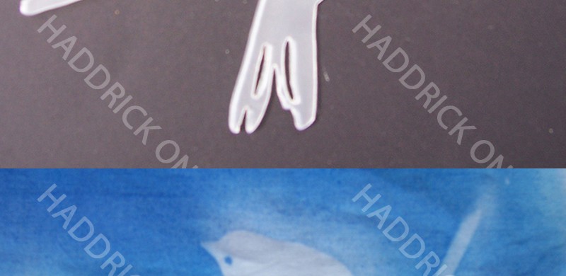 Sten-fab single bird on perch