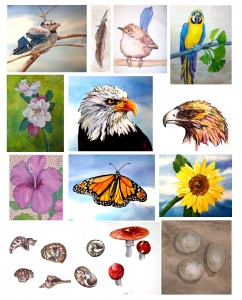 Painted Natures Delight
